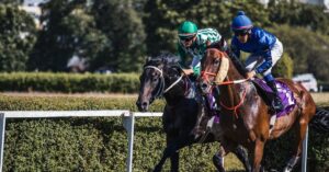 horse racing outfits